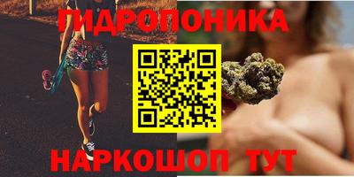 ECSTASY Ставрополь