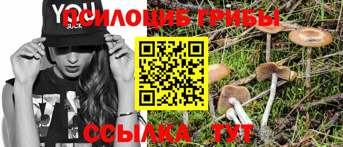где купить наркоту  Псилоцибиновые грибы ЛСД  Вход с VPN  Ржев 