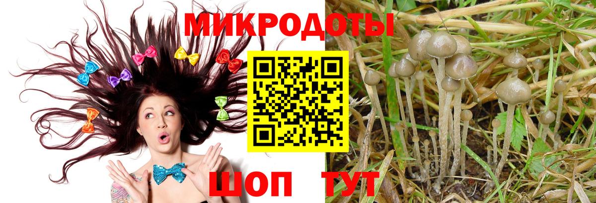 Галлюциногенные грибы MAGIC MUSHROOMS Ржев
